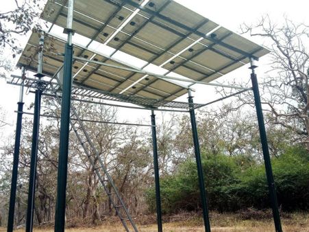 ನೀರಿನ ಸಮಸ್ಯೆಯಿಂದ ಪಾರಾದ ಬಂಡೀಪುರ ವನ್ಯಪ್ರಾಣಿಗಳು