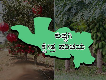 ಕುಷ್ಟಗಿ ಕ್ಷೇತ್ರ ಪರಿಚಯ: ಬಿಜೆಪಿ-ಕಾಂಗ್ರೆಸ್ ನಡುವೆ ಜಿದ್ಧಾಜಿದ್ದಿಯ ಹೋರಾಟ