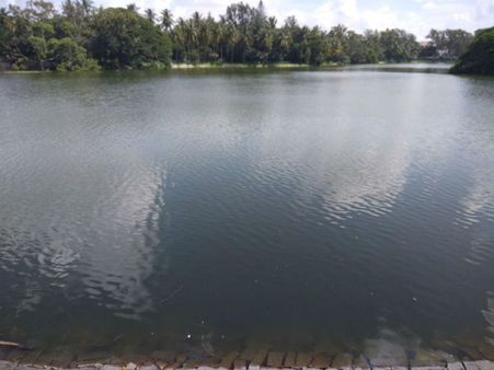 ಲಾಲ್‌ಬಾಗ್‌ ಕೆರೆಯಲ್ಲಿ ಇನ್ನುಮುಂದೆ ಜಲಚರಗಳು ಸುರಕ್ಷಿತ