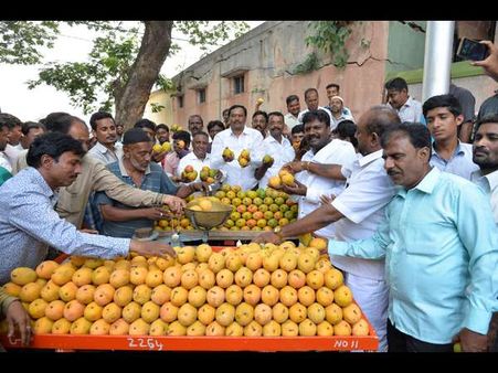 ಬೆಂಗಳೂರು ಮಾವು ಮೇಳಕ್ಕೆ ತಟ್ಟಿದ ನೀತಿ ಸಂಹಿತೆ ಬಿಸಿ