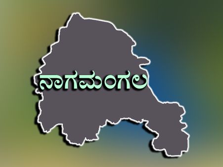 ನಾಗಮಂಗಲ ಕ್ಷೇತ್ರ : ಜೆಡಿಎಸ್ ವಿರುದ್ಧ ಜೆಡಿಎಸ್ ರೆಬೆಲ್
