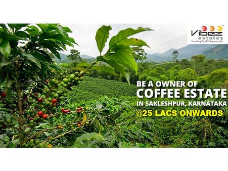 ಸಕಲೇಶಪುರದಲ್ಲಿ ಸುಂದರ ಕಾಫಿ ತೋಟದ ಮಾಲಿಕರಾಗಿರಿ