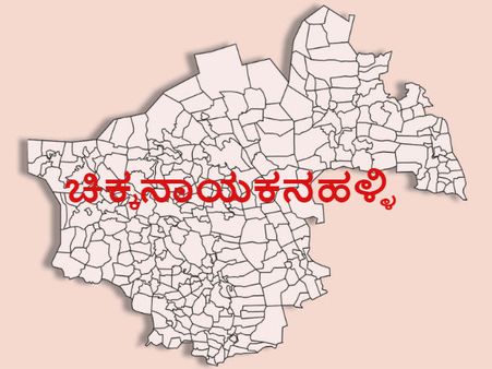 ಚಿಕ್ಕನಾಯಕನಹಳ್ಳಿ ಕ್ಷೇತ್ರ: ಕೊಬ್ಬರಿ- ಹೈನುಗಾರಿಕೆ ಜೀವಾಳ
