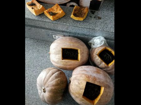 ಚೀನಿಕಾಯಿಯಲ್ಲಿ ಗಾಂಜಾ ಸಾಗಿಸುತ್ತಿದ್ದ ಭೂಪನ ಬಂಧನ