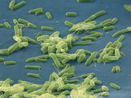 ನಿಪಾಹ್ ವೈರಸ್ ಆಯ್ತು, ಇದೀಗ ಸಾಂಕ್ರಾಮಿಕ ರೋಗಗಳ ಸರದಿ