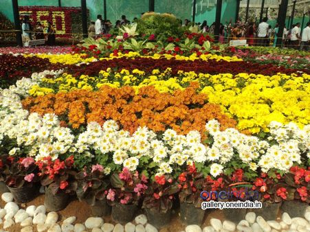 ಕೇಂದ್ರ ಪಠ್ಯಪುಸ್ತಕದಲ್ಲಿ ಮಕ್ಕಳಿಗೆ ಲಾಲ್‌ ಬಾಗ್‌ ಪಾಠ!