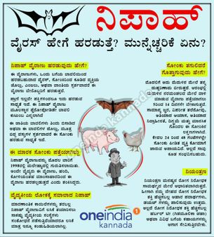 ನಿಪಾಹ್ ವೈರಸ್ ಎಂದರೇನು? ಮಾರಣಾಂತಿಕ ಜ್ವರದ ಕುರಿತು ಮಾಹಿತಿ