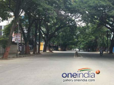 ಮರ ಗಣತಿ ಮಾಡಲು ಕೊನೆಗೂ ಬಿಬಿಎಂಪಿಗೆ ಕಾಲ ಕೂಡಿ ಬಂತು!