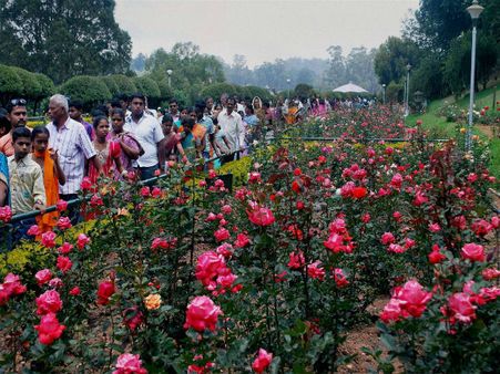 ಫಲಪುಷ್ಪ ಪ್ರದರ್ಶನಕ್ಕೆ ಸಜ್ಜಾಗುತ್ತಿದೆ ಲಾಲ್‌ ಬಾಗ್‌ ರೋಸ್‌ ಗಾರ್ಡನ್‌