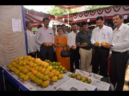 ಗ್ರಾಹಕರನ್ನು ಕೈ ಬೀಸಿ ಕರೆಯುತ್ತಿರುವ ಮಾವು – ಹಲಸು ಮೇಳ