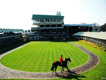 ಕುದುರೆ ಲತೀಫಾಗೆ ಉದ್ದೀಪನ ಮದ್ದು: ಜಾಕಿ ಹೋಕೋರ್ಟ್‌ ಮೊರೆ