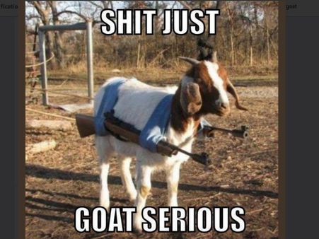 ಮೇಕೆ ಮೇಲೆ ಅತ್ಯಾಚಾರ: #JusticeforGoat ಅಭಿಯಾನ