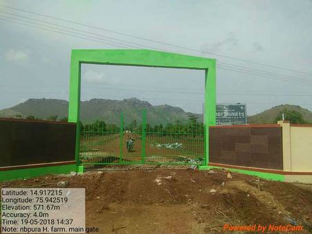 ರಾಜ್ಯಕ್ಕೇ ಮಾದರಿಯಾಗುತ್ತಿದೆ ಸರ್ಕಾರಿ ಒಡೆತನದ ನಾಗತಿಬಸಾಪುರ ತೋಟ