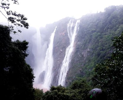 ಧುಮ್ಮಿಕ್ಕುತ್ತಿರುವ ಜೋಗದ ವೈಭವ ನೋಡಲು ಮುಗಿಬಿದ್ದ ಪ್ರವಾಸಿಗರು