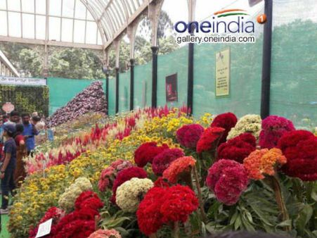 ಲಾಲ್‌ಬಾಗ್‌ ಫಲಪುಷ್ಪ ಪ್ರದರ್ಶನವನ್ನು ತ್ಯಾಜ್ಯಮುಕ್ತ ಮಾಡ್ತಾರೆ ಹೇಗೆ?