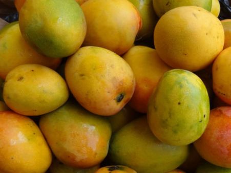 ಮಾವಿನಹಣ್ಣಿಗೆ 2000 ರೂ. ಬೆಂಬಲ ಬೆಲೆ: ಸರ್ಕಾರದ ಚಿಂತನೆ