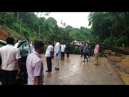 ಶಿರಾಡಿ ಘಾಟಿ ರಸ್ತೆಯಲ್ಲಿ ಜನಪ್ರತಿನಿಧಿಗಳ ಕಾರಿಗೆ ತಡೆಯೊಡ್ಡಿದ ಮರ!