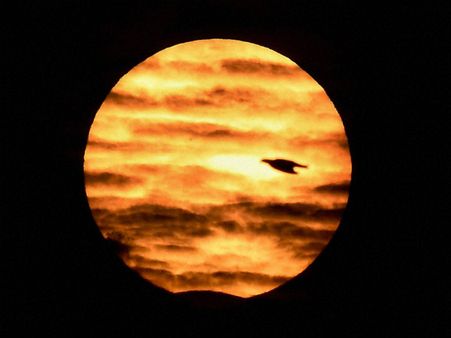 ಕೃಷ್ಣ ಪಕ್ಷದ ಚತುರ್ದಶಿ, ಅಮಾವಾಸ್ಯೆ ಜನನವಾದರೆ ಏನು ಫಲ?