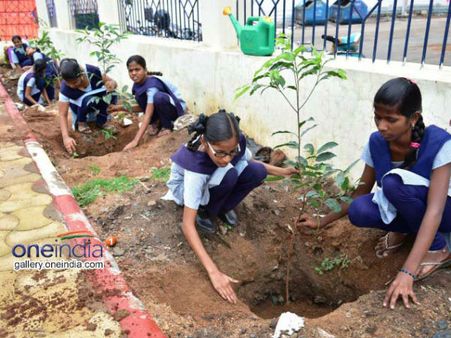 ರಾಜರಾಜೇಶ್ವರಿ ನಗರದಲ್ಲಿ ಸಾವಿರ ಸಸಿ ನೆಡುವ 'ಕಾಡಹಬ್ಬ'