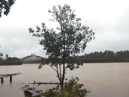 ಶಿವಮೊಗ್ಗ ಜಿಲ್ಲೆಯಾದ್ಯಂತ ಸುರಿಯುತ್ತಿರುವ ಮಳೆಗೆ ಕಂಗೆಟ್ಟ ಜನತೆ