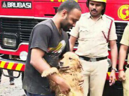 ಮುದ್ದಿನ ನಾಯಿ ರಕ್ಷಿಸಲು ಮಡಿಕೇರಿಯಿಂದ ನಡೆದುಕೊಂಡು ಬಂದ ಯುವಕ