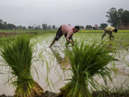 ಕಳೆನಾಶಕದಿಂದ ರೈತನಿಗೆ ಕ್ಯಾನ್ಸರ್: ಮಾನ್ಸೆಂಟೊಗೆ $289 ಮಿಲಿಯನ್ ದಂಡ