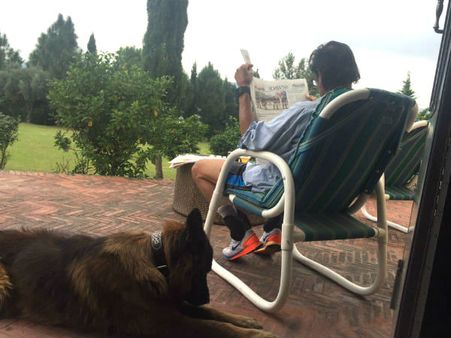 ಇಮ್ರಾನ್ ಖಾನ್ ರ ಪ್ರೀತಿಯ ಸಾಕು ನಾಯಿಗಳಿಗೆ ವಿಕಿಪೀಡಿಯಾದಲ್ಲಿ ಸ್ಥಾನ