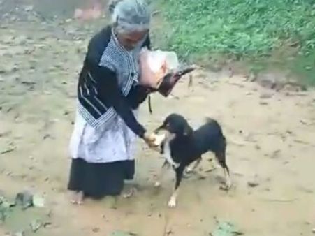 ಒಡತಿ ಕಂಡೊಡನೆ ಕುಣಿದು ಕುಪ್ಪಳಿಸಿ ಪರಿಹಾರ ಕೇಂದ್ರಕ್ಕೆ ತೆರಳಿದ ನಾಯಿ