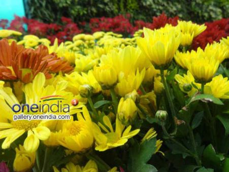 ವರಮಹಾಲಕ್ಷ್ಮೀ ಹಬ್ಬದ ಹೆಸರಲ್ಲಿ ಗಗನಕ್ಕೇರಿದ ಹೂವು-ಹಣ್ಣಿನ ದರ