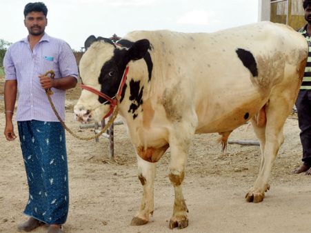 ಅಲ್ಪ ಭೂಮಿಯಲ್ಲಿ ಅಧಿಕ ಲಾಭ ತೆಗೆದು ಹುಬ್ಬೇರುವಂತೆ ಮಾಡಿದ ಸಿರಗುಪ್ಪ ರೈತ