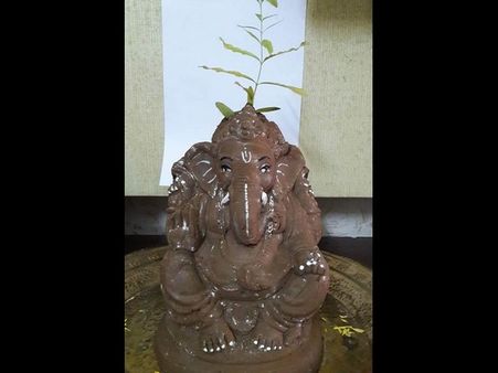 ವಿಸರ್ಜನೆಯ ಬಳಿಕವೂ ಗಿಡವಾಗಿ ನೆಲೆ ನಿಲ್ಲುವ ಪರಿಸರ ಸ್ನೇಹಿ ಗಣಪ