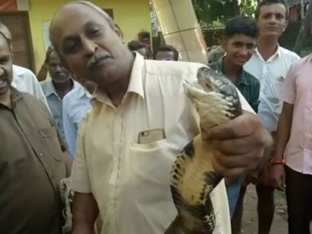 ಮಂಡೆಕೋಲು ಗ್ರಾ.ಪಂ. ಕಚೇರಿಗೆ ಬಂದ ಹತ್ತು ಅಡಿ ಉದ್ದದ ಕಾಳಿಂಗ ಸರ್ಪ