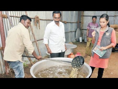ದಸರಾ ಗಜರಾಜರಿಗೆ ಬೆಣ್ಣೆಯಲ್ಲಿ ಬೇಯಿಸಿದ ಘಮಘಮಿಸುವ ತರಹೇವಾರಿ ಖಾದ್ಯ