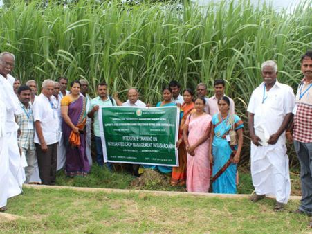ತಮಿಳುನಾಡು ರೈತರ ಸೆಳೆದ ಮಂಡ್ಯದ ಆಧುನಿಕ ಕಬ್ಬು ಕೃಷಿ ಪದ್ಧತಿ
