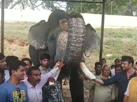 ಮಾವುತರಿಗೆ ಸ್ಪೆಷಲ್ ಊಟ ಬಡಿಸಿದ ಚಾಲೆಂಜಿಂಗ್ ಸ್ಟಾರ್ ದರ್ಶನ್