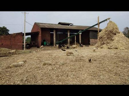 ಬೆಲ್ಲದ ಕಾರ್ಖಾನೆಗಳಾಗಿದ್ದ ಆಲೆಮನೆಗಳು ನೇಪಥ್ಯಕ್ಕೆ ಸರಿಯುತ್ತಿರುವುದೇಕೆ?