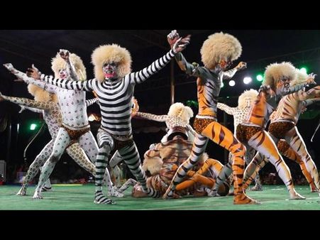 ನವರಾತ್ರಿ ಆರಂಭವಾಗುತ್ತಿದ್ದಂತೆ ತುಳುನಾಡಲ್ಲಿ ಪಿಲಿಗಳ ದರ್ಬಾರ್ ಶುರು