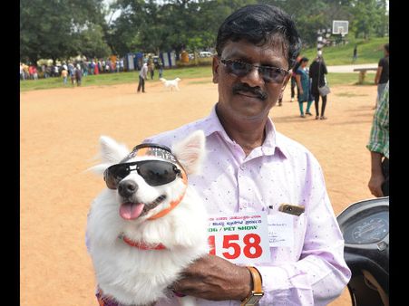 ಪೆಟ್ ಶೋ ಸ್ಪರ್ಧೆ: ಮುದ್ದು ಶ್ವಾನಗಳನ್ನು ನೋಡಿ ಫಿದಾ ಆದ ಮೈಸೂರಿಗರು