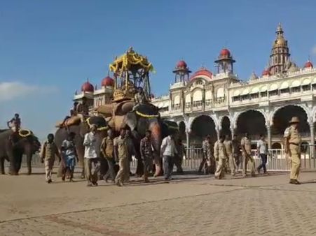 ಅಂಬಾರಿ ಹೊರುವ ಅರ್ಜುನನಿಗೆ ಭಾರ ಹೊರುವ ತಾಲೀಮು: ಸಾಥ್ ಕೊಟ್ಟ ವಿಜಯ, ಕಾವೇರಿ, ಚೈತ್ರಾ