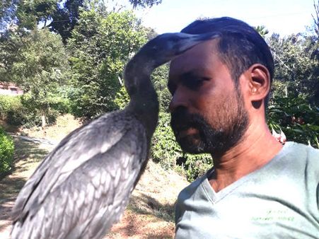 ಎಂಥ ಸುದ್ದಿ! ಮನುಷ್ಯನೊಂದಿಗೆ ನೀರುಕಾಗೆಯ ಕುಚುಕು ಸ್ನೇಹ!