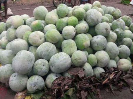 ಬೆಂಗಳೂರು ದಸರಾ: ಬಾನೆತ್ತರಕ್ಕೇರಿದ ಬೂದುಗುಂಬಳ, ಹೂವಿನ ದರ