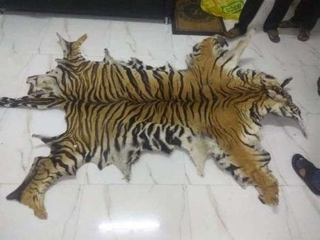 ಪಿರಿಯಾಪಟ್ಟಣ ಬಳಿ ಹುಲಿ ಚರ್ಮ ವಶ: ಆರೋಪಿ ಬಂಧನ