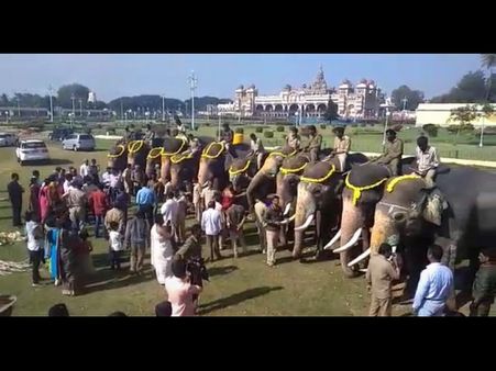 ದಸರಾ ಆನೆಗಳಿಗೆ ಆತ್ಮೀಯ ಬೀಳ್ಕೊಡುಗೆ: ಕಾಡಿನತ್ತ ಹೆಜ್ಜೆ ಹಾಕಿದ ಗಜಪಡೆ