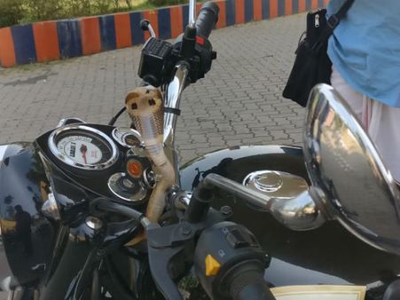 ಚಲಿಸುತ್ತಿರುವ ಬುಲೆಟ್ ಬೈಕ್ ನಲ್ಲಿ ಕಾಣಿಸಿಕೊಂಡ ನಾಗರಹಾವು, ಮುಂದೇನಾಯ್ತು?