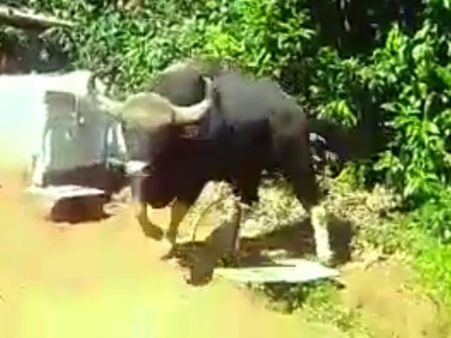 ಮಕ್ಕಳ ದಿನಾಚರಣೆಯಂದೇ ಬಸ್ರಿಕಟ್ಟೆ ಶಾಲೆಗೆ ಬಂದ ಅಪರೂಪದ ಅತಿಥಿ!