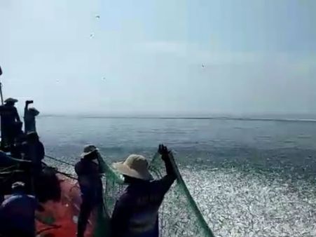 ಮಟ್ಟು ಕಡಲ ತೀರದಲ್ಲಿ ಮೀನಿನ ಬುಗ್ಗೆ ಕಂಡು ಚಕಿತಗೊಂಡ ಮೀನುಗಾರರು