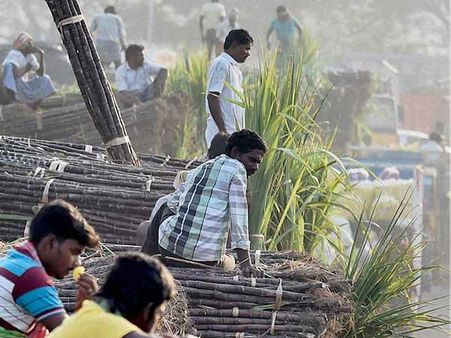 ನ.16ರಂದು ಮುಧೋಳ ಬಂದ್‌ಗೆ ಕರೆ ಕೊಟ್ಟ ಕಬ್ಬು ಬೆಳೆಗಾರರು