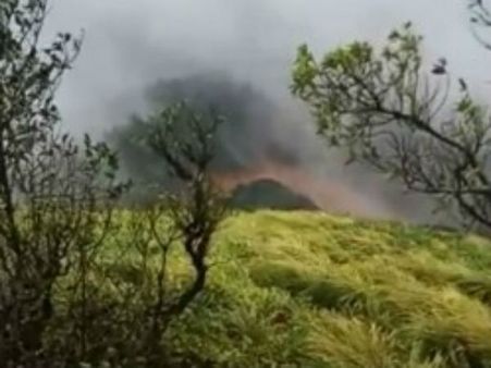 ಭಾಗಮಂಡಲ ಬಳಿಯ ಅರಣ್ಯದಲ್ಲಿ ಬೇಟೆಗಾರನೇ ಬೇಟೆಯಾದ!