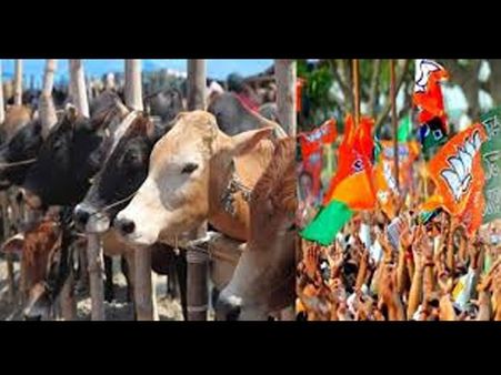 ಬಿಜೆಪಿ ಆಡಳಿತದ ರಾಜ್ಯಗಳಲ್ಲಿ 'ಬೀಫ್' ತಿನ್ನೋದೇ ಒಂದು ಖುಷಿ, ಗುಹಾ