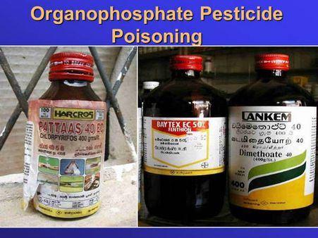 ಸುಳ್ವಾಡಿ ವಿಷಪ್ರಸಾದ ಸೇವನೆ ಪ್ರಕರಣ:ತನಿಖೆ ವಿಳಂಬ ಸಾಧ್ಯತೆ